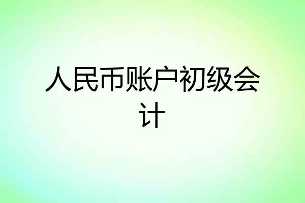 人民币账户初级会计