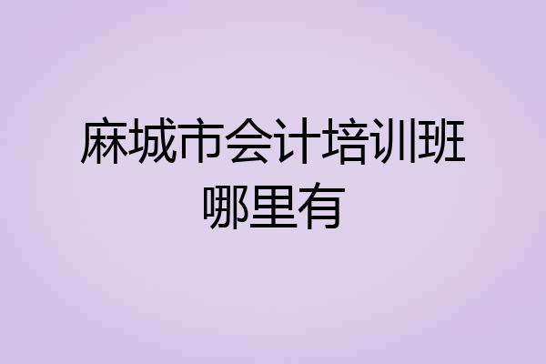 麻城市会计培训班哪里有