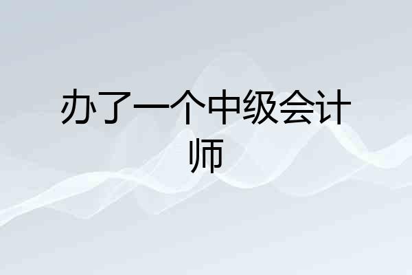 办了一个中级会计师