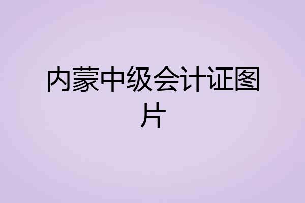 内蒙中级会计证图片