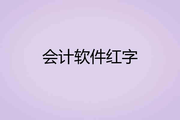 会计软件红字