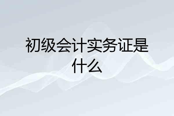 初级会计实务证是什么