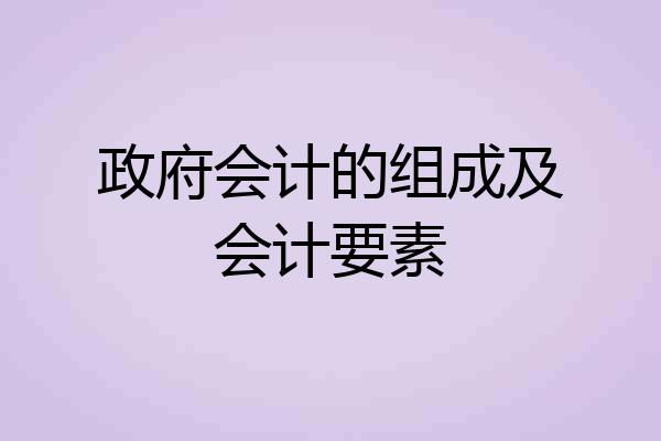 政府会计的组成及会计要素