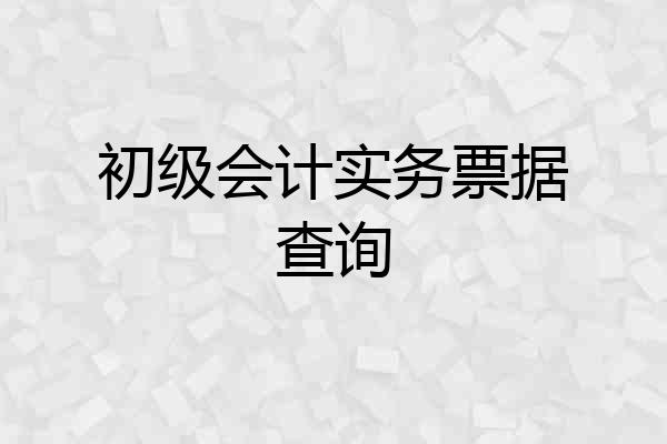 初级会计实务票据查询