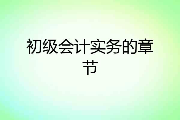 初级会计实务的章节