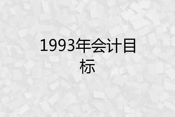 1993年会计目标
