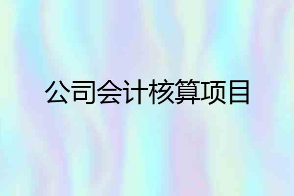 公司会计核算项目