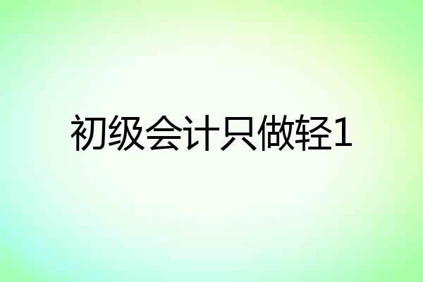 初级会计只做轻1