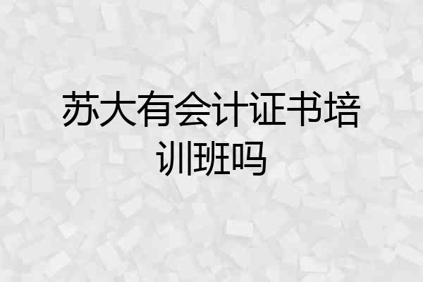 苏大有会计证书培训班吗