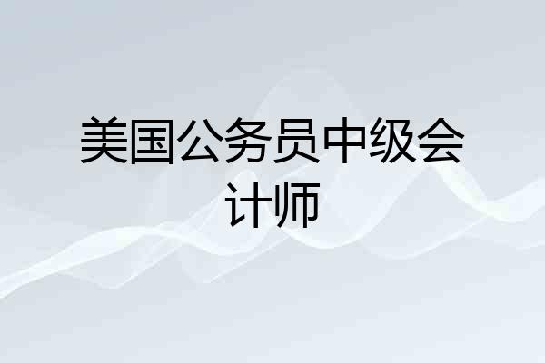 美国公务员中级会计师