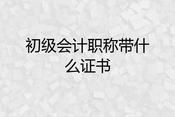 初级会计职称带什么证书