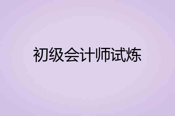 初级会计师试炼