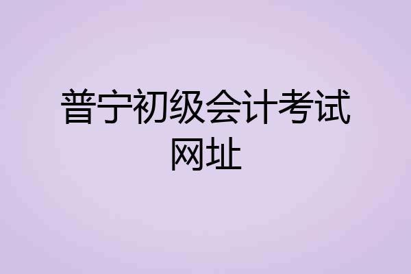 普宁初级会计考试网址