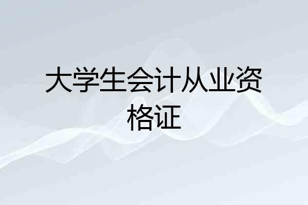大学生会计从业资格证