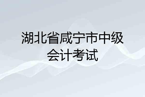 湖北省咸宁市中级会计考试