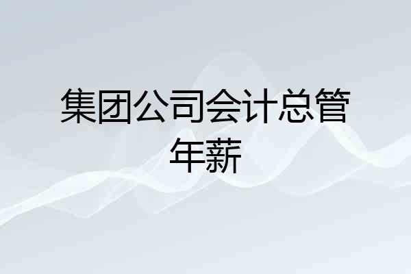 集团公司会计总管年薪