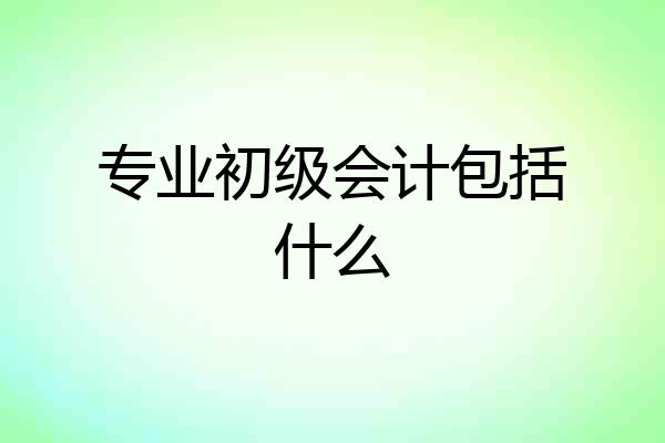 专业初级会计包括什么