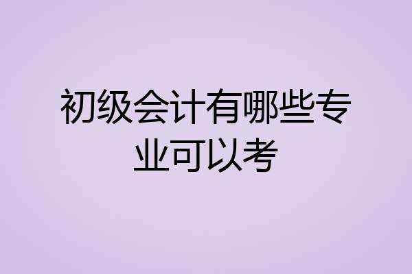初级会计有哪些专业可以考