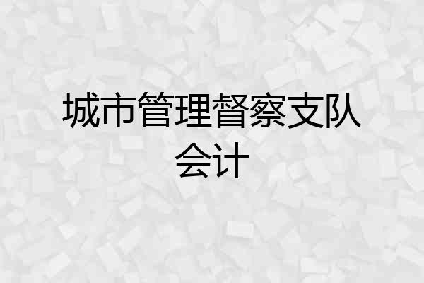 城市管理督察支队会计