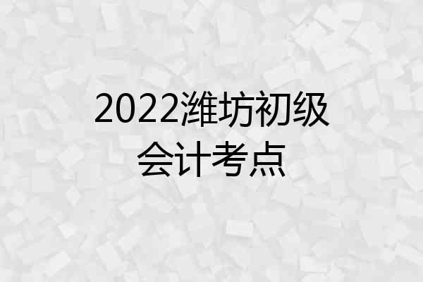 2022潍坊初级会计考点