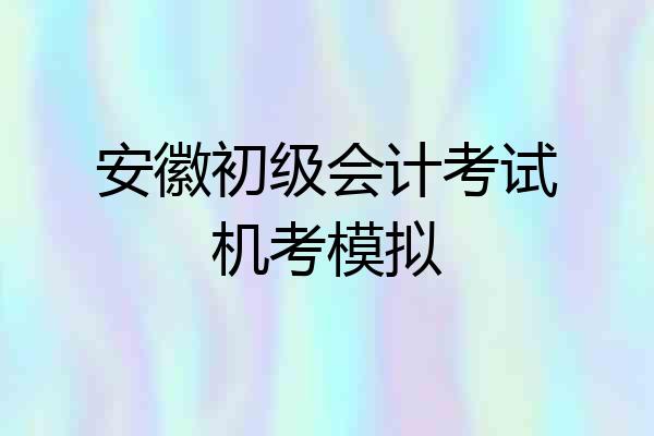 安徽初级会计考试机考模拟
