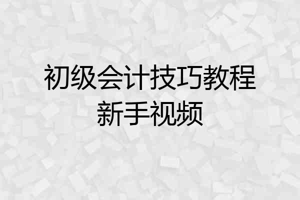 初级会计技巧教程新手视频