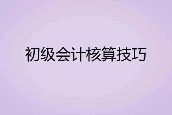 初级会计核算技巧