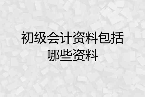 初级会计资料包括哪些资料