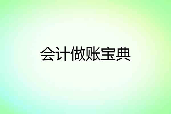 会计做账宝典