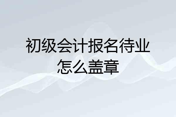 初级会计报名待业怎么盖章