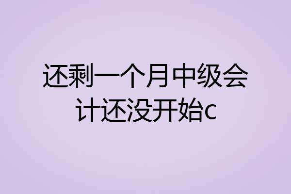 还剩一个月中级会计还没开始c