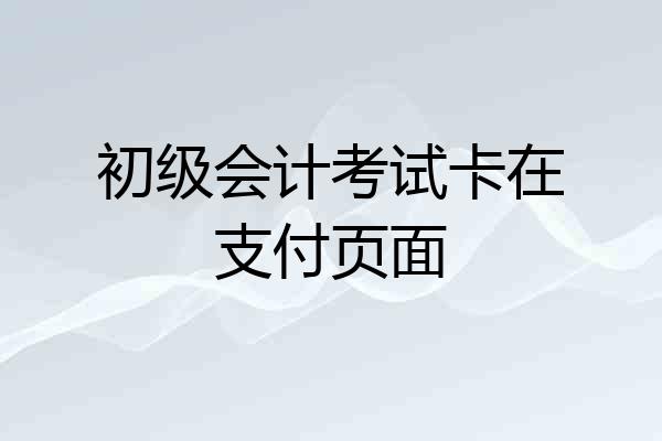 初级会计考试卡在支付页面