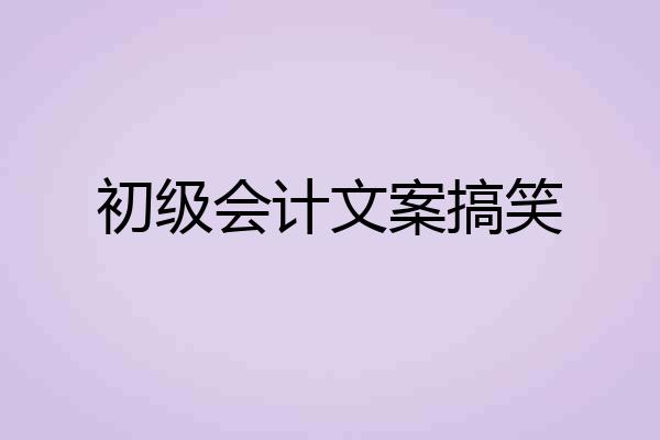 初级会计文案搞笑