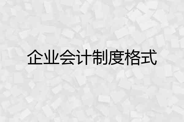 企业会计制度格式