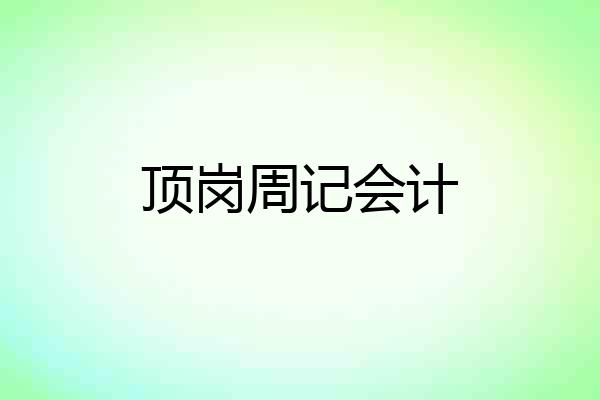 顶岗周记会计