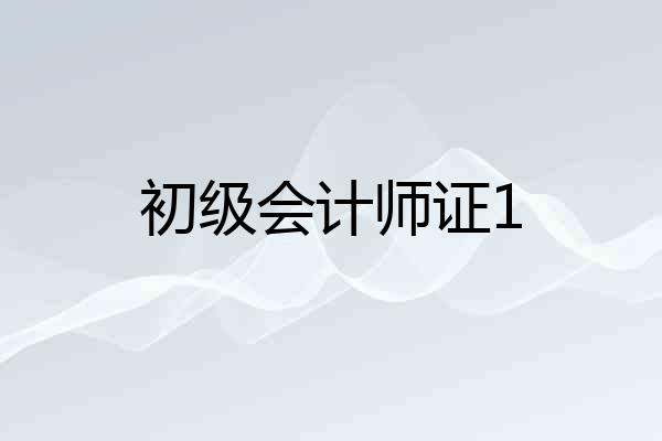 初级会计师证1
