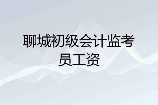 聊城初级会计监考员工资