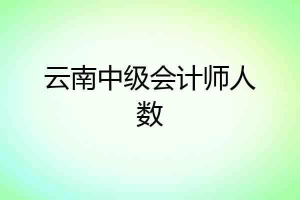 云南中级会计师人数