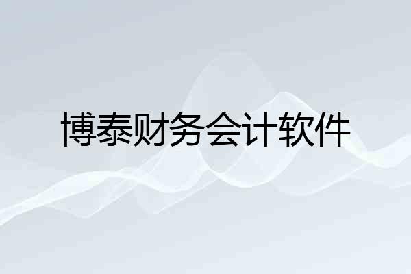 博泰财务会计软件