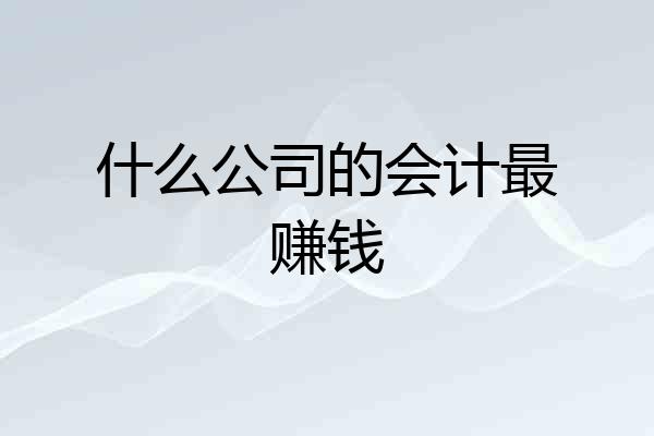 什么公司的会计最赚钱