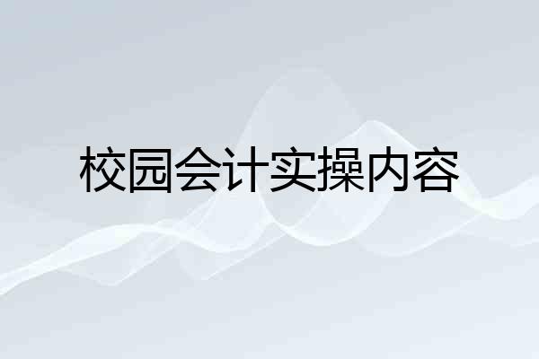 校园会计实操内容