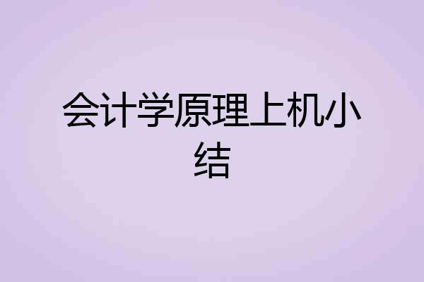 会计学原理上机小结