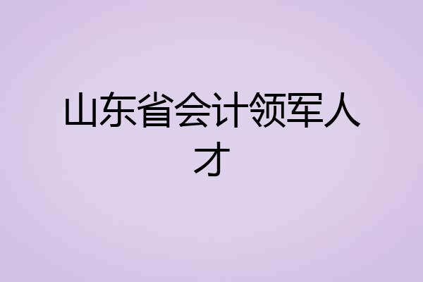 山东省会计领军人才