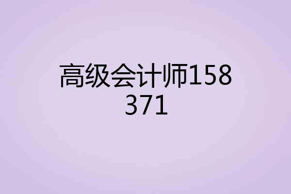 高级会计师158371