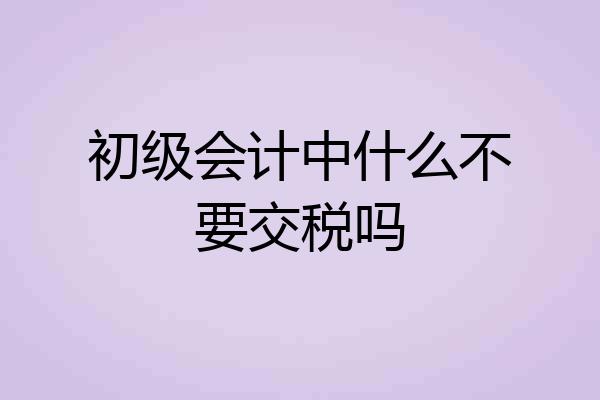 初级会计中什么不要交税吗