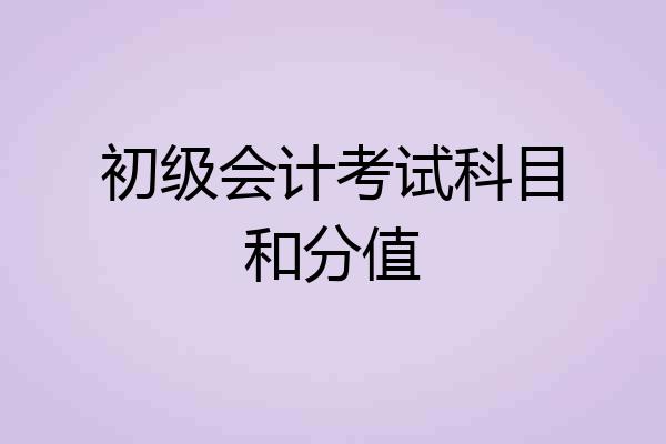 初级会计考试科目和分值