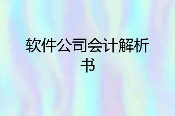软件公司会计解析书