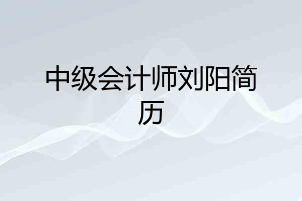 中级会计师刘阳简历