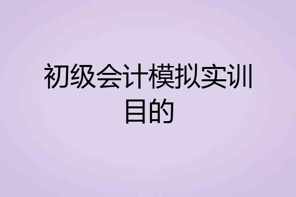 初级会计模拟实训目的