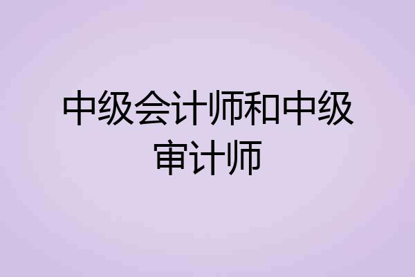 中级会计师和中级审计师